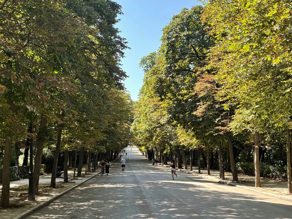 阿爾卡拉門 Puerta de Alcalá / 麗池公園 Parque del Retiro / 早午餐 @Plenti / 聖熱羅尼莫堂 Iglesia de San Jerónimo el Real / 普拉多美術館 Museo del Prado / 義式薄餅&義大利麵 @ Pizzart