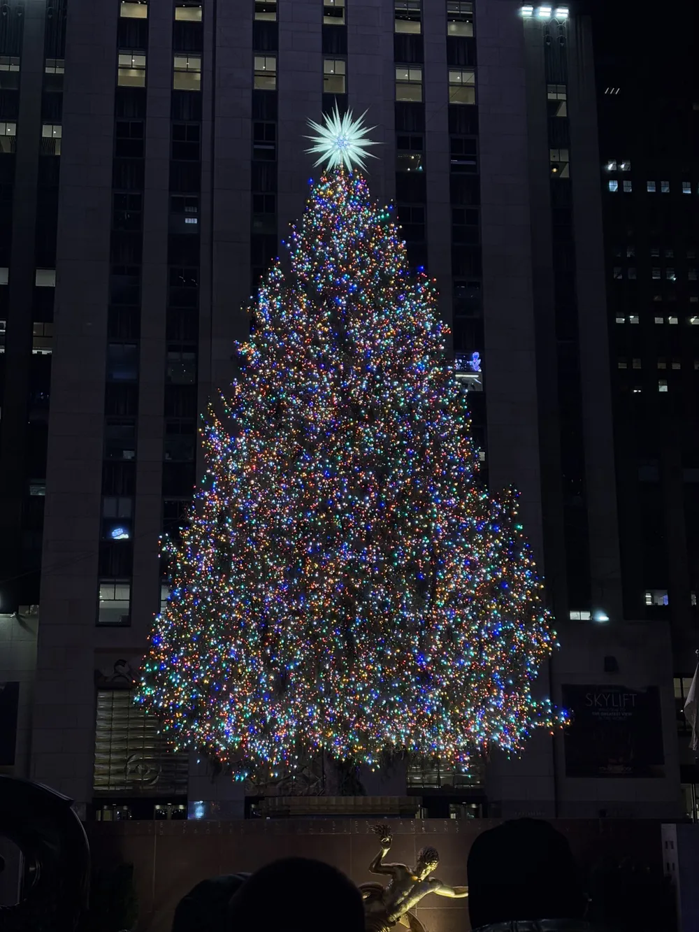 Cheesecake & Pastrimi @Junior’s Restaurant & Bakery / 中央公園 / 麥迪遜廣場公園 / 聖誕大餐 ＠Allora Fifth Ave / 第五大道精品街 / 居酒屋 Izakaya Toribar