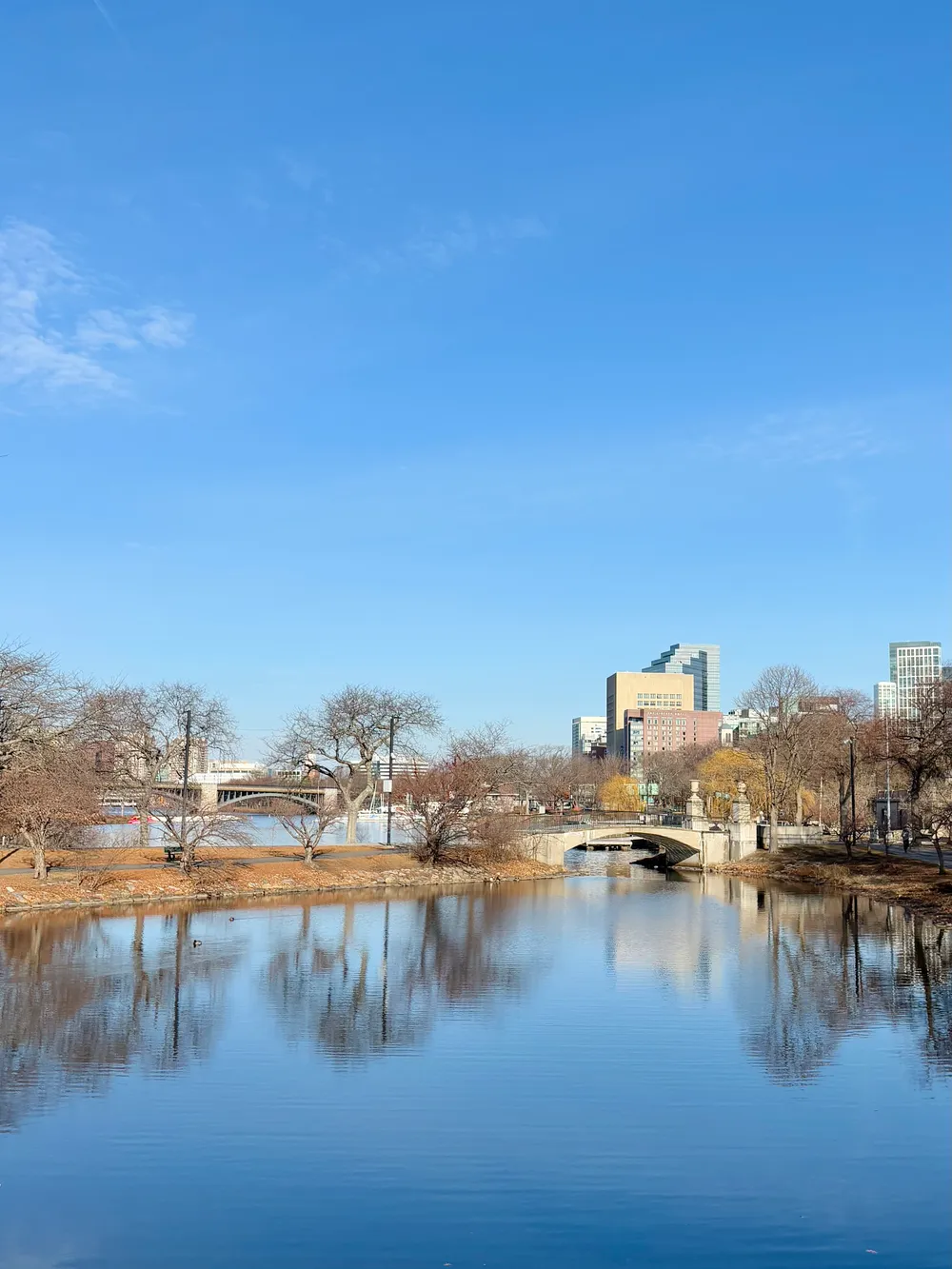 Trident Booksellers & Cafe / Newbury St / Beacon St / 查爾斯河畔 / 胡桃鉗芭蕾舞劇 Nutcracker ＠ Citizens Opera House / 自由之路 / 波士頓公共圖書館