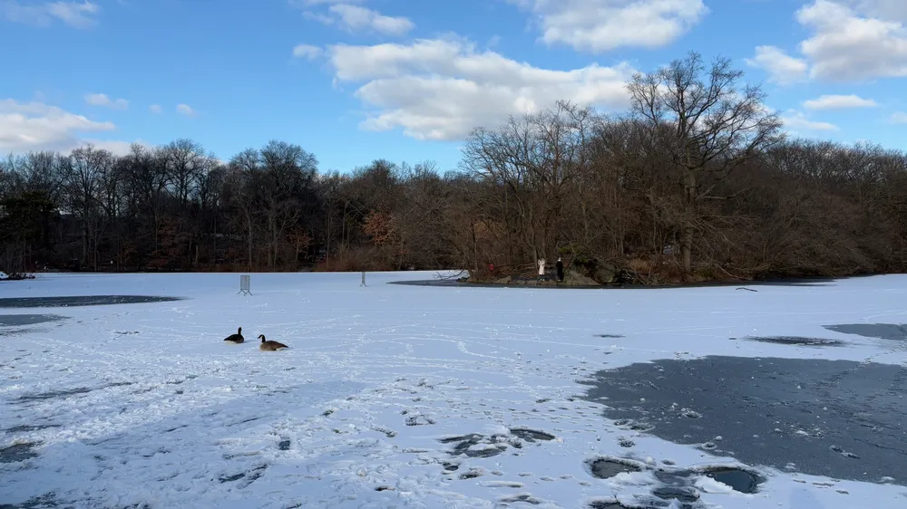 Central Park