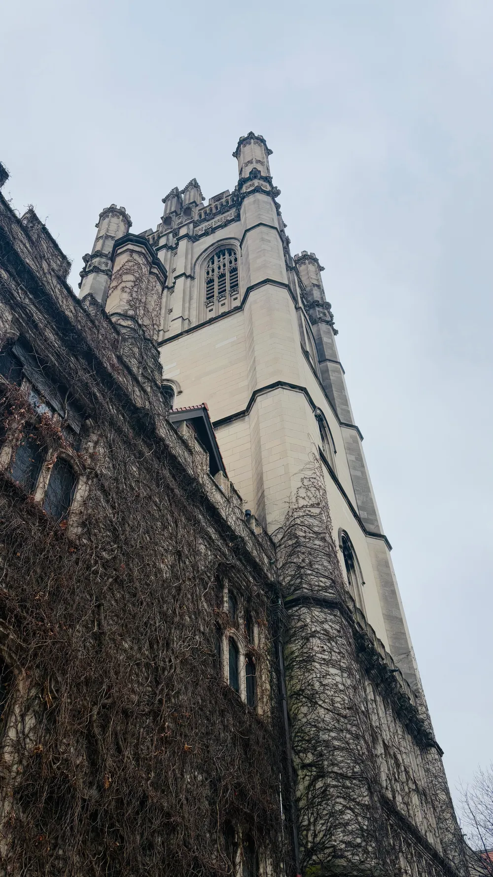 The University of Chicago