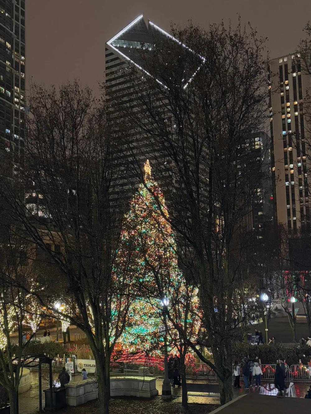 Cloud Gate (The Bean)