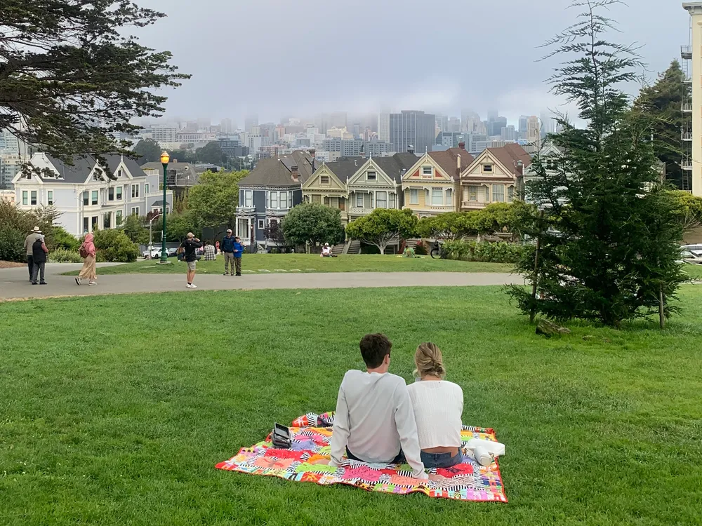 Painted Ladies