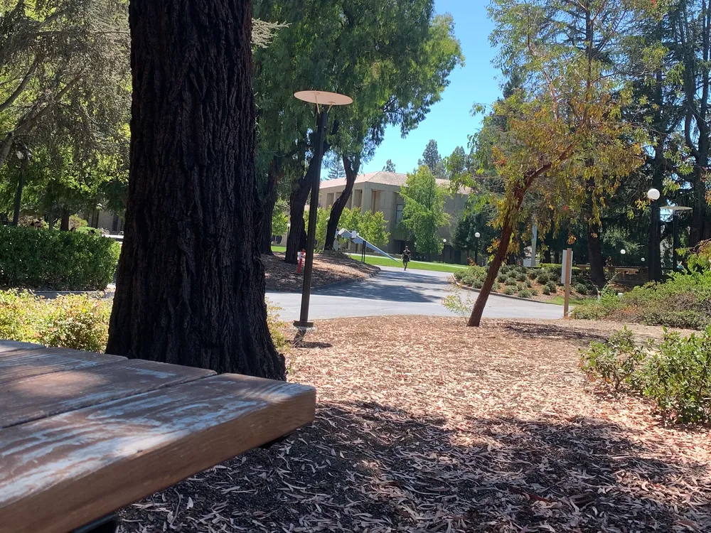 Stanford