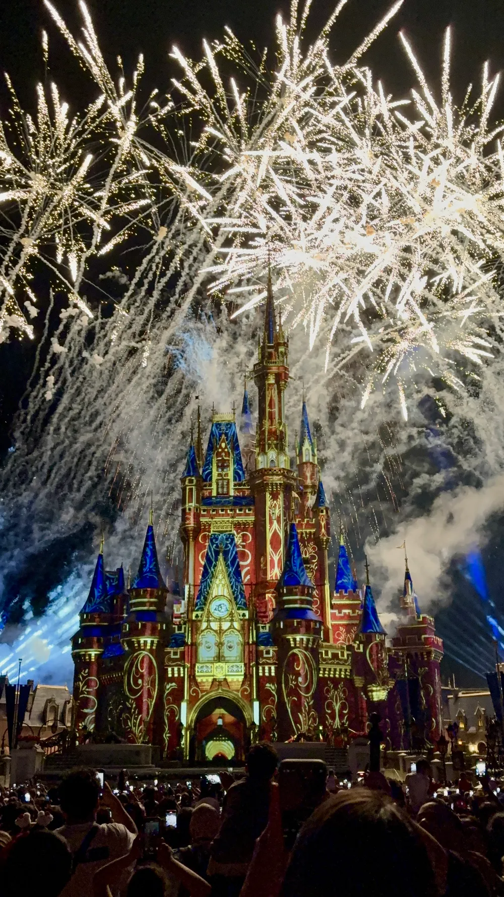 Magic Kingdom Fireworks